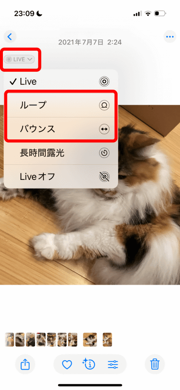 ［Live Photos］メニューから［ループ］もしくは［バウンス］を選ぶと動画としてバックアップされる