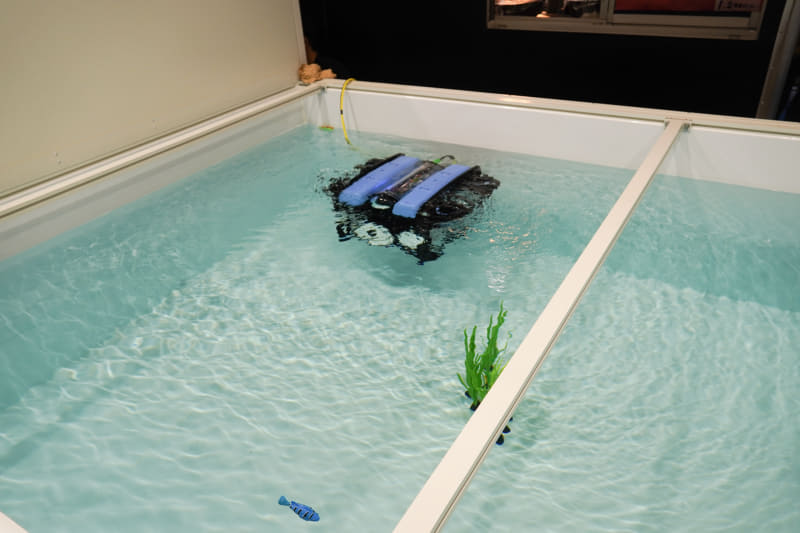 水中ドローンでデータを取得する様子を、陸上養殖用として持ち込んだ水槽で実演