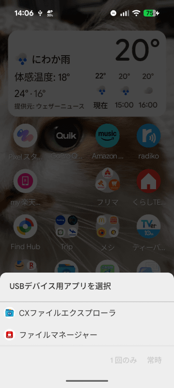 ファイラーをインストールしていて、USB Type-Cポートにディスクを接続すると、アプリ選択画面が表示される。もちろん単にファイラーを起動してもいい