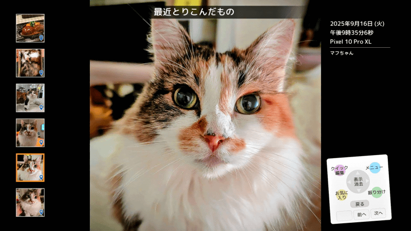 テレビの大画面で写真や動画を楽しむことができる