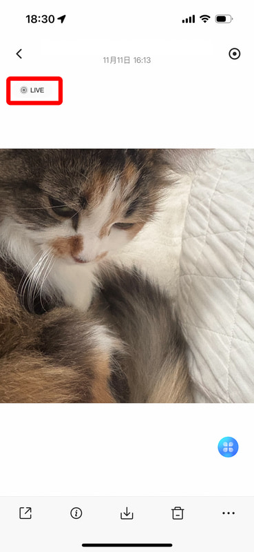 LivePhotosや動画の再生もできる