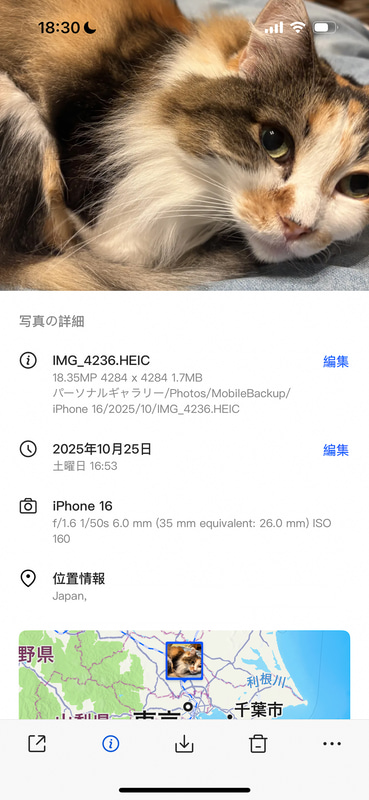 位置情報などのタグもそのまま