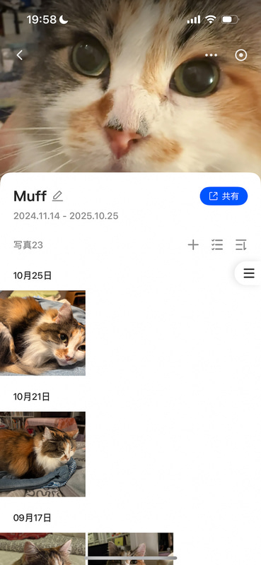アルバムが作成されたら、［共有］をタップ