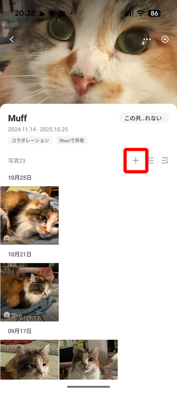 共有アルバムが表示できた。写真にはアップロードした相手の名前が表示されている。「＋」をタップ