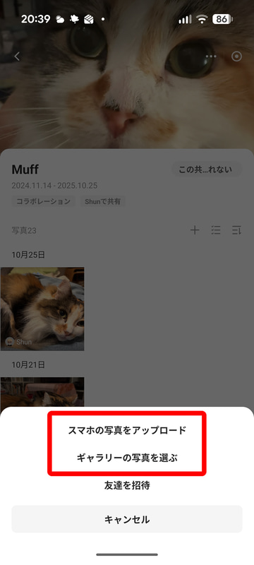 共有アルバムに自分の写真を追加できる