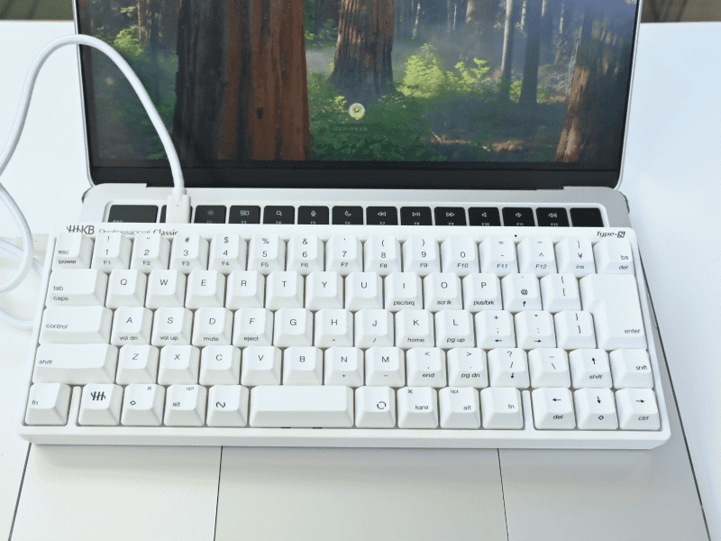 憧れの「尊師スタイル」。尊師スタイルというのは、ノートPCのキーボードの上にキーボードを載せて操作するスタイル。HHKBのユーザーだった著名プログラマーのリチャード・ストールマン（愛称は尊師）がこのスタイルを取り入れたことから名付けられたとか