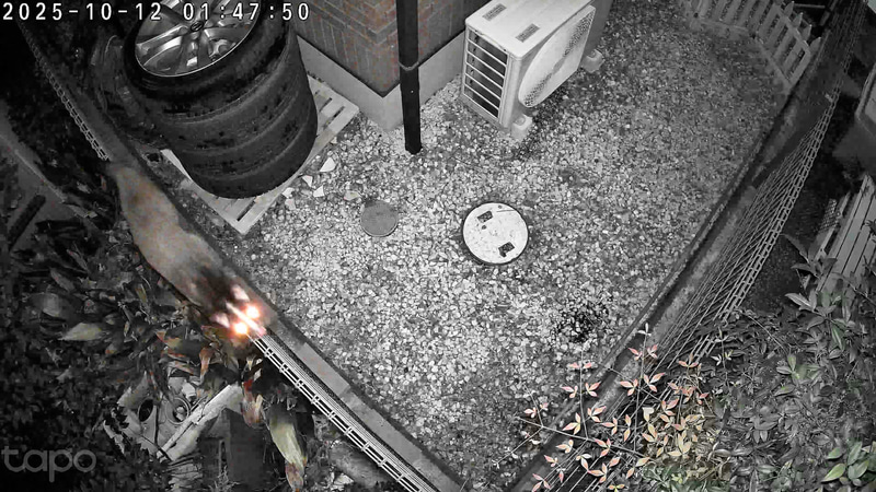 10月12日1時47分、フェンスの上を器用に歩く動物が一瞬カメラを見たところ。鼻筋に白い1本の線があるこの顔は……