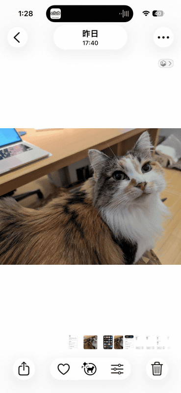 【iOS】写真と動画は［写真］に保存される