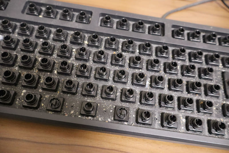 ホコリ、食べ物のカス、髪の毛などさまざまな汚れが詰まっている