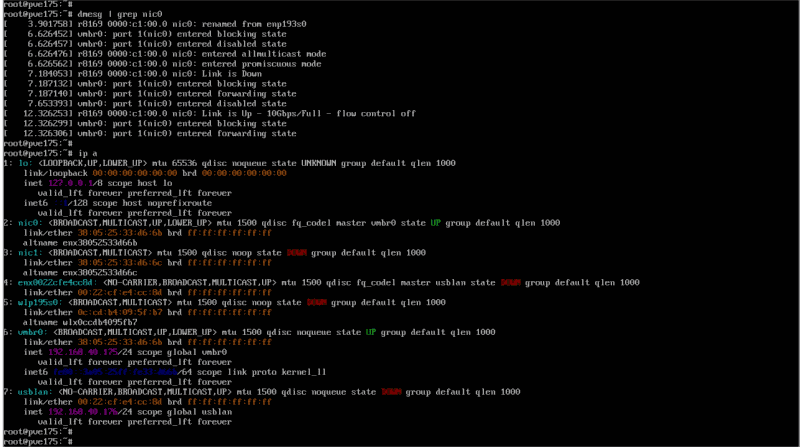 シャットダウン前。10Gbpsのnic0とnic1が認識されている