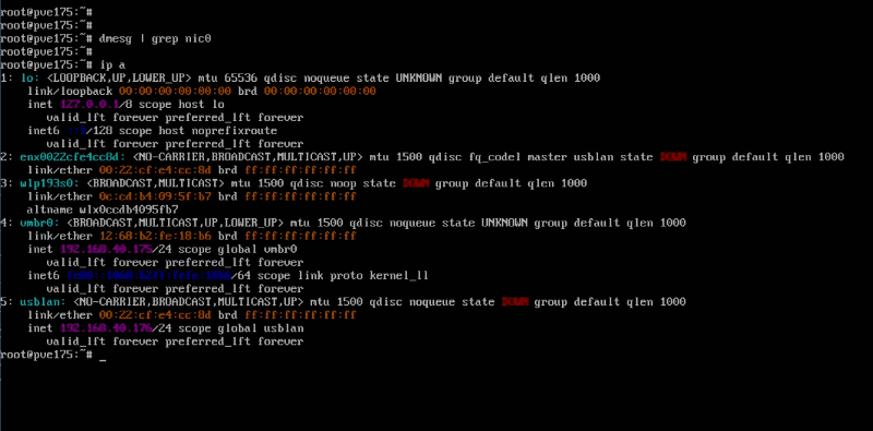 あるはずのnic0やnic1がない