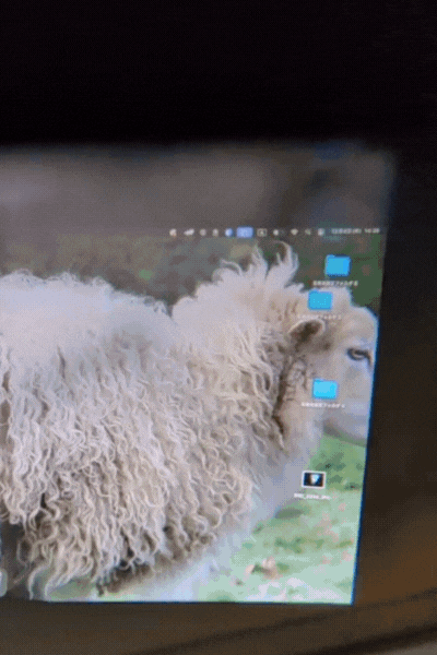 一方、OneはOne Proと比べて画面がまっすぐに見えます