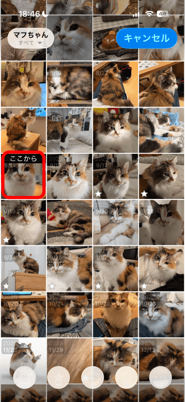 「おもいでばこ」アプリでサムネイル表示にして、ロングタップすると複数選択の始点を設定できる