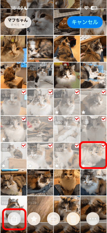 終点をタップすると始点と終点の間のカットが全て選択される。転送したいカットを選択したら、下部「共有」アイコンをタップ