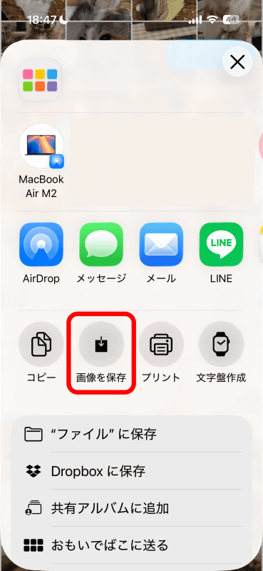 ［画像を保存］をタップする