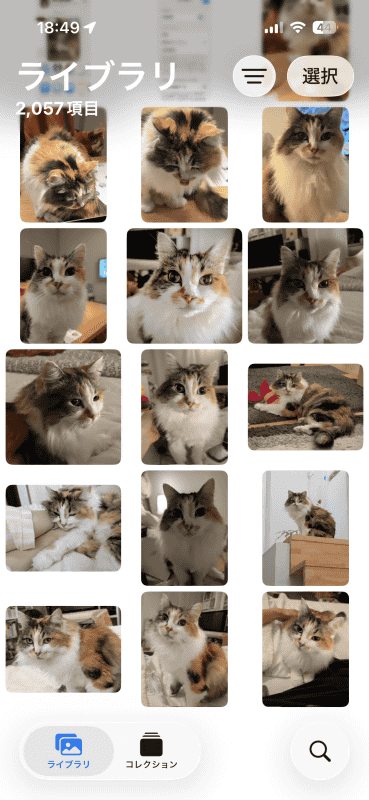 「写真」アプリに保存されるので確認してみよう