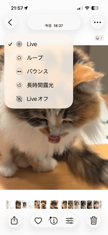 Live Photosはそのまま書き出される