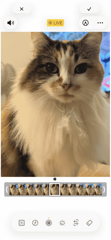 もちろん、Live Photosの編集も可能だ