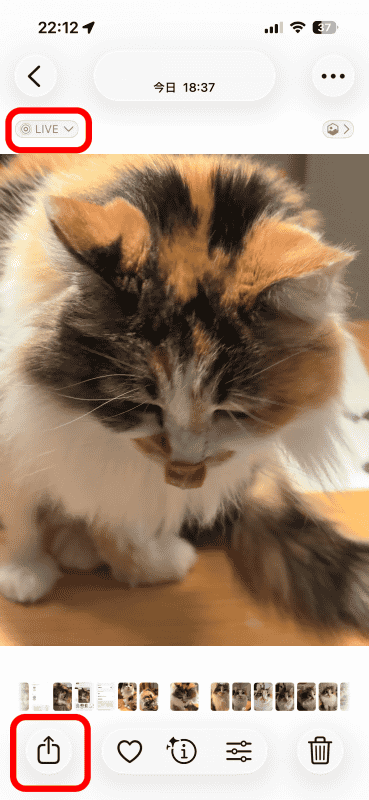 「写真」アプリのLive Photosで「共有」アイコンをタップする