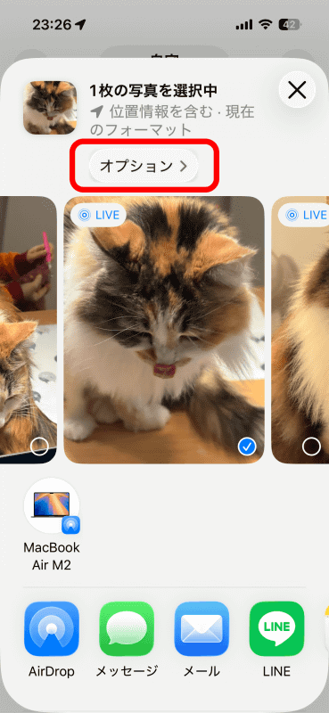 共有画面で［オプション］をタップする