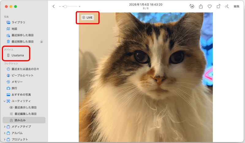 MacへのAirDropでは、静止画に変換されうまくいかないケースがある。その場合はiPhoneをUSBポートに直結し「写真」アプリで読み込むとLive Photosのまま取り込むことができる