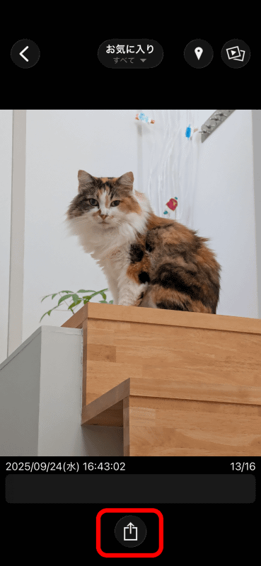 個別の詳細も表示できる。共有ボタンから、共有が可能だ