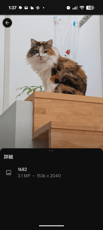 共有した写真は、長辺2040ピクセルに縮小されている。スマートフォンで見る分にはほぼ問題ないが、大画面で見たい場合や印刷したい場合などには、別の方法で高い解像度の写真を共有したほうがいい