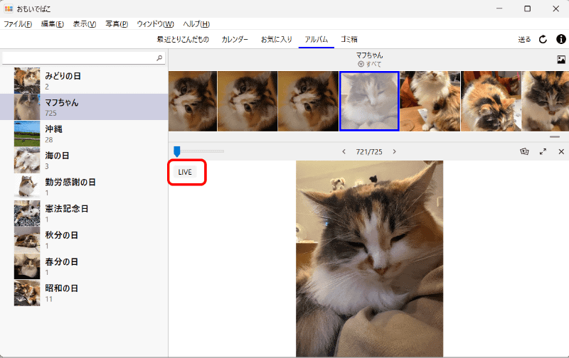 サムネイルをクリックして表示させるとこのような画面になる。Live Photosも判別できる
