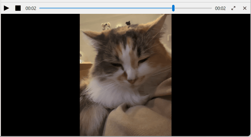 Windowsにて操作中であるが、Live Photosを動画として再生できる。macOSでは「LIVE」にマウスオンで動画再生される