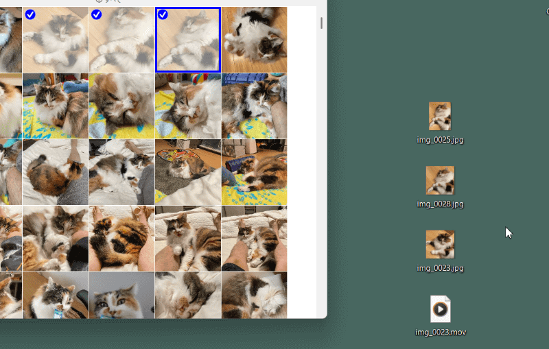 写真や動画が書き出される。Live Photosでは、静止画と動画が書き出される