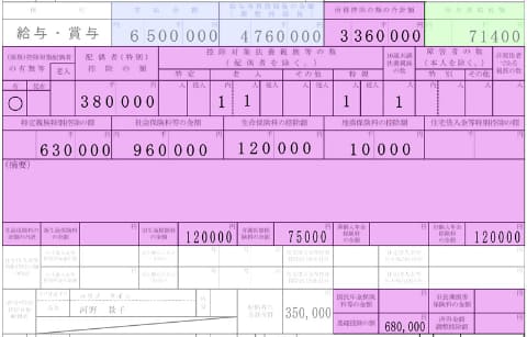 源泉徴収票の各種所得控除の記載欄
