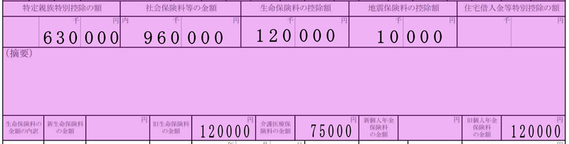 		源泉徴収票の「社会保険料金等の金額」「生命保険料の控除額」「地震保険料の控除額」の記載欄