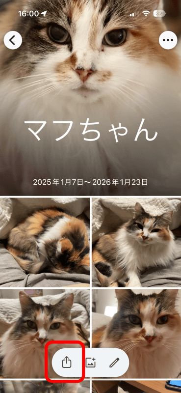 アルバムは共有ボタンから共有して、友人に見せることもできる