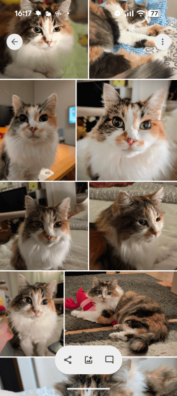 友人も同じアルバムを閲覧できるようになる