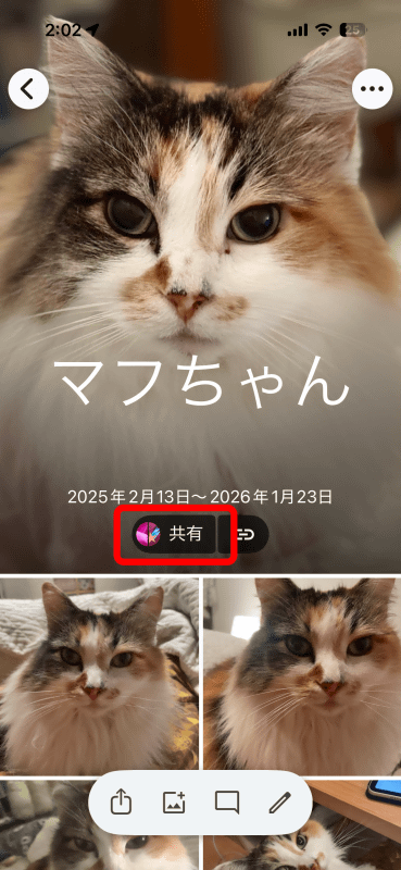 共有後のアルバムを表示すると、共有設定のボタンが表示されるのでタップする