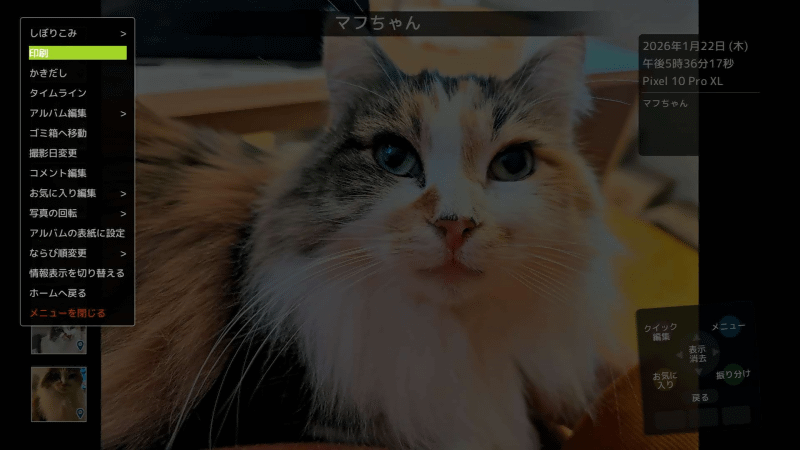 リモコンの「△」ボタンを押して、メニューから［印刷］を選択する。単独カット表示画面だけでなく、アルバムやお気に入り画面などからも印刷は可能だ