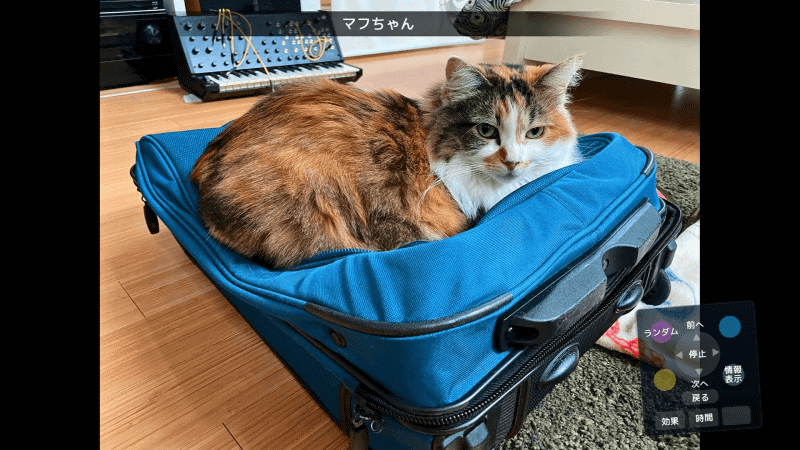 スライドショーが始まった