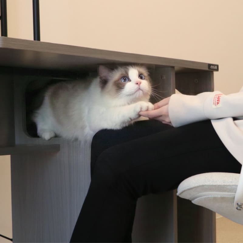 おひざアクセスゲート