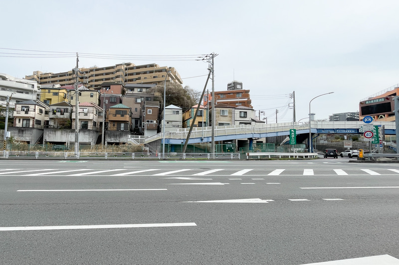 反対車線から見たところ。ずっとガードレールやフェンスが続いている。写真のさらに左まで戻らないと車道から歩道に入ることができない