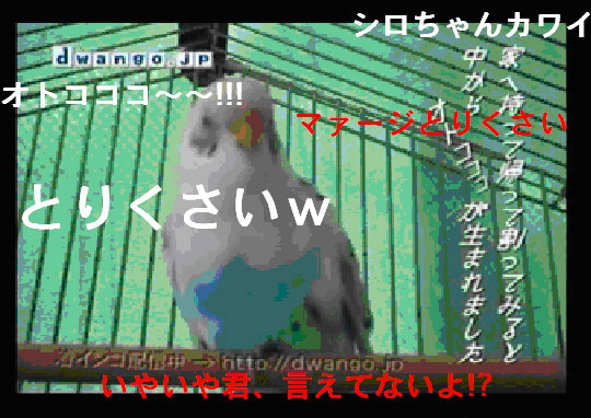 「<a href="https://internet.watch.impress.co.jp/cda/news/2007/01/15/14460.html" class="strong bn" target="_blank">動画上にコメントが載せられる「ニコニコ動画」、ニワンゴがベータテスト</a>」より、コメントの付けられたニコニコ動画の画面サンプル