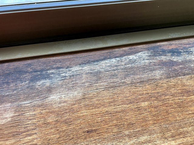 2階の窓の木枠は部分的にかなりカビと劣化が見られた
