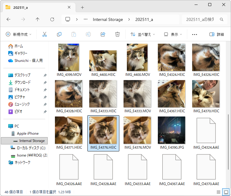 フォルダー内には、画面のように写真と動画が保存されている