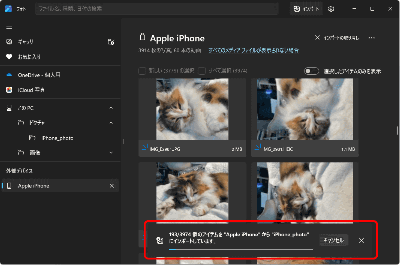 インポート中。ここも時間がかかるので、しばらく待とう