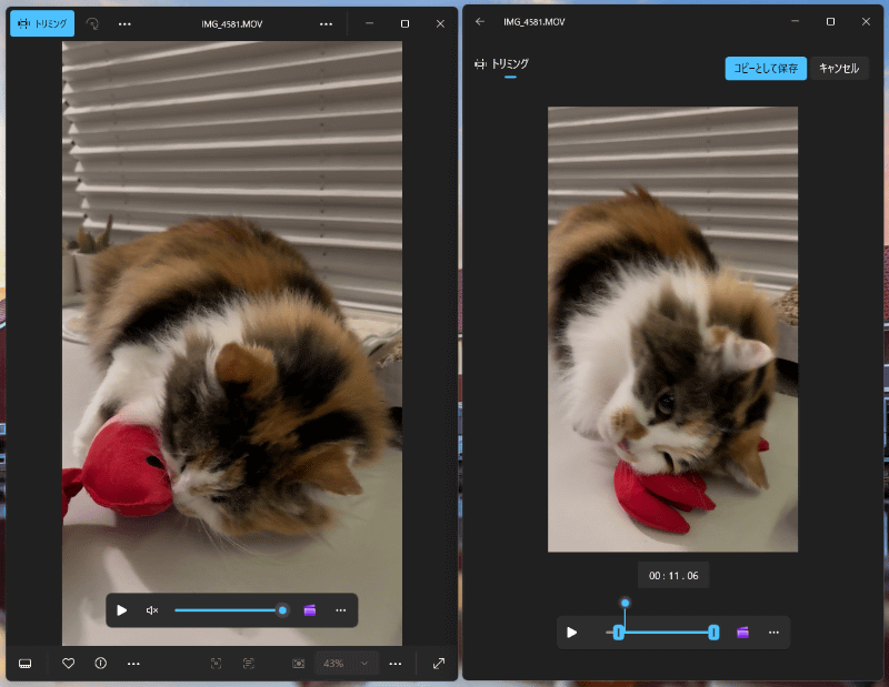 動画は、範囲指定してのトリミングやフレームの書き出しができる
