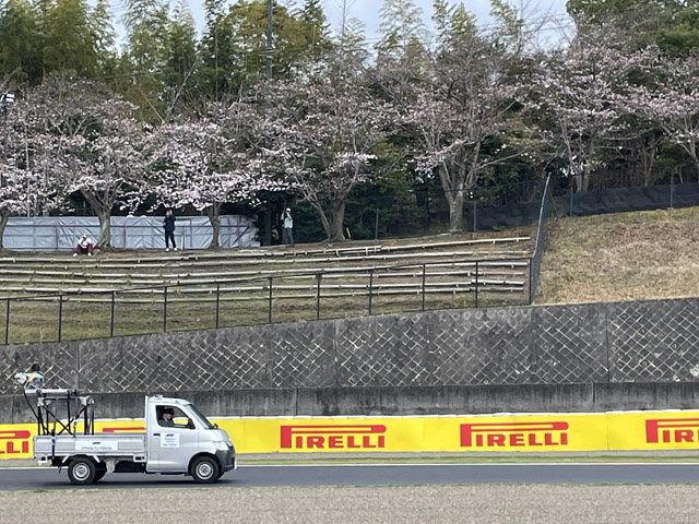 3月26日木曜日、桜は三分咲きくらい