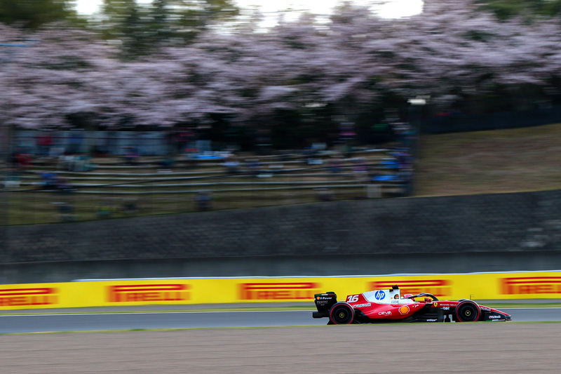 あっという間に満開になった