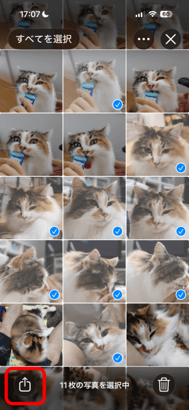 転送したい写真を選択して、左下の共有アイコンをタップ