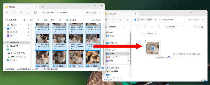 ファイルを全選択して、ドラッグ＆ドロップで任意のフォルダーにコピーする