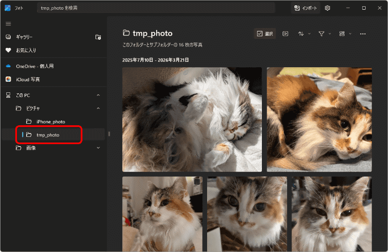 「ピクチャ」フォルダー内に移動すると、「フォト」アプリで表示させることができる