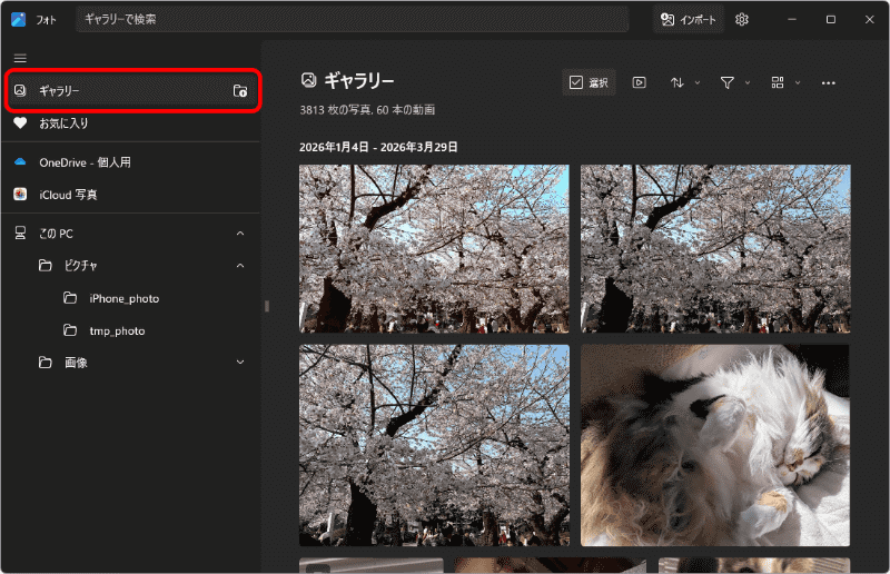 ［ギャラリー］を選択すると、すべてをまとめて表示させることも可能だ